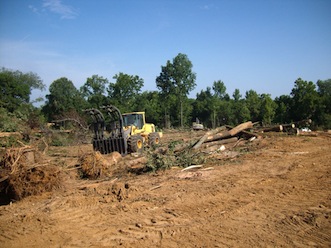 land clearing